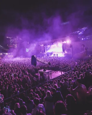 Texas Fest