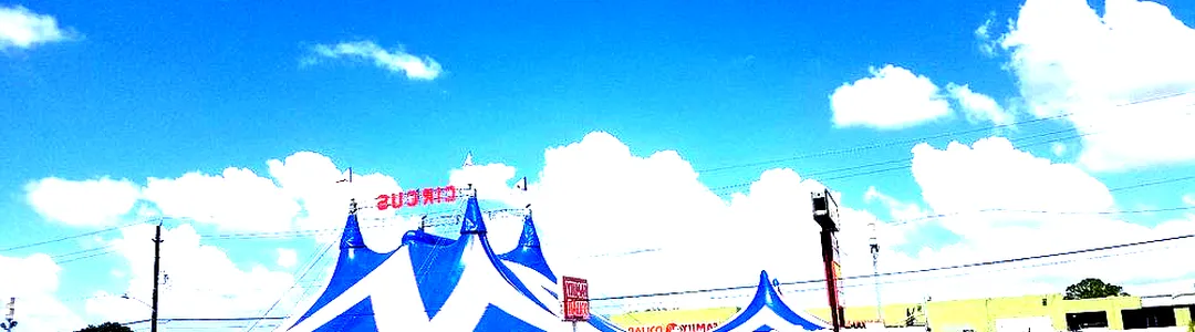 Circus Delman