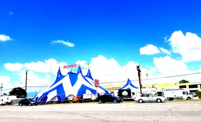 Circus Delman