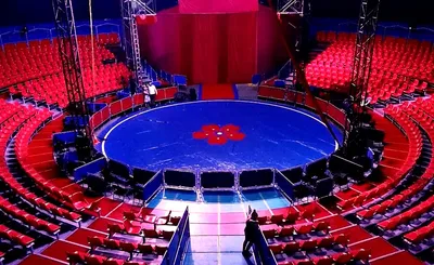 Do Portugal Circus