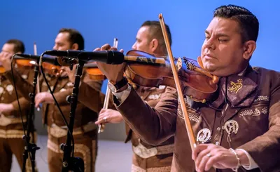 Mariachi Los Camperos