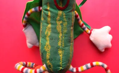 The Super Pickle