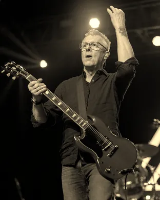 Toadies