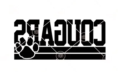 Washington State Cougars Football