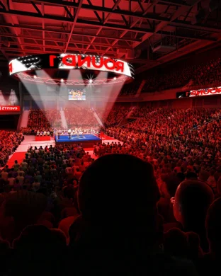 Ncaa Division I Womens Volleyball Championship - Finals